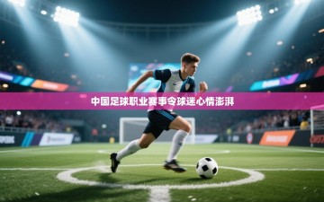 中国足球职业赛事令球迷心情澎湃