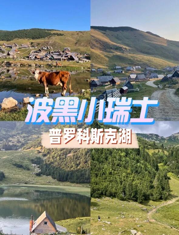 波黑惨遭瑞士绝杀，晋级前途一片黑云压顶的简单介绍