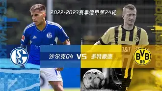 沙尔克主场告捷，信心大增风生水起